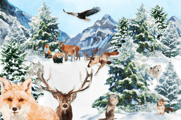Download Watercolor Winter Animals Clipart - Winter Collection